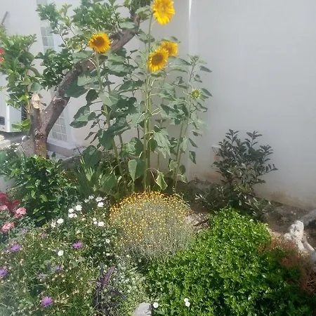 A Casa Di Nino *